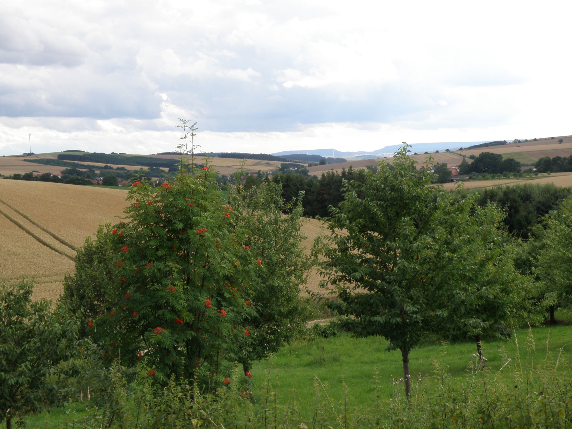 Blick über die Streuobstwiese in Schwiegershausen © Wolfgang Bode