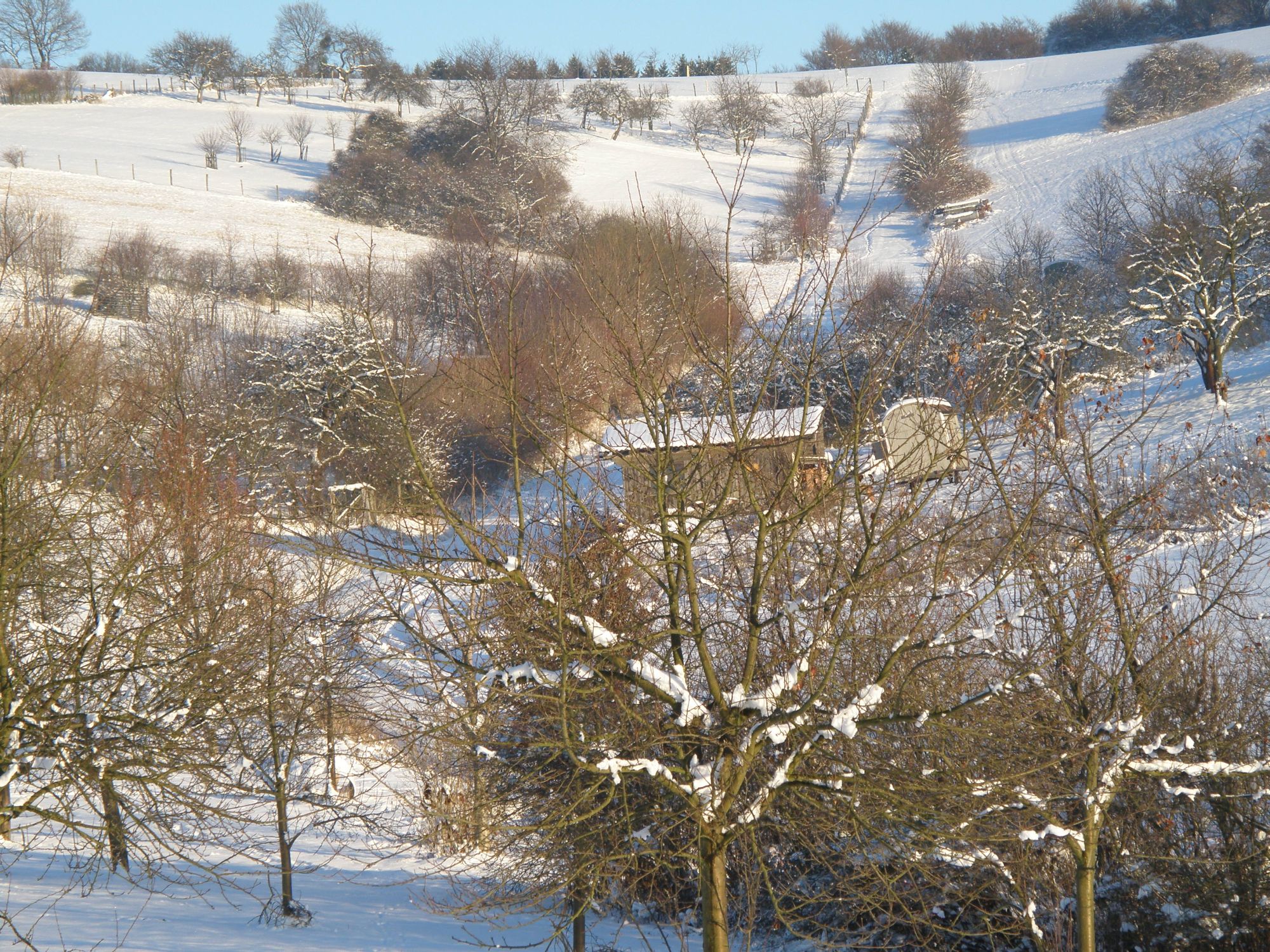 Blick über Streuobstwiese mit Schnee © Wolfgang Winter