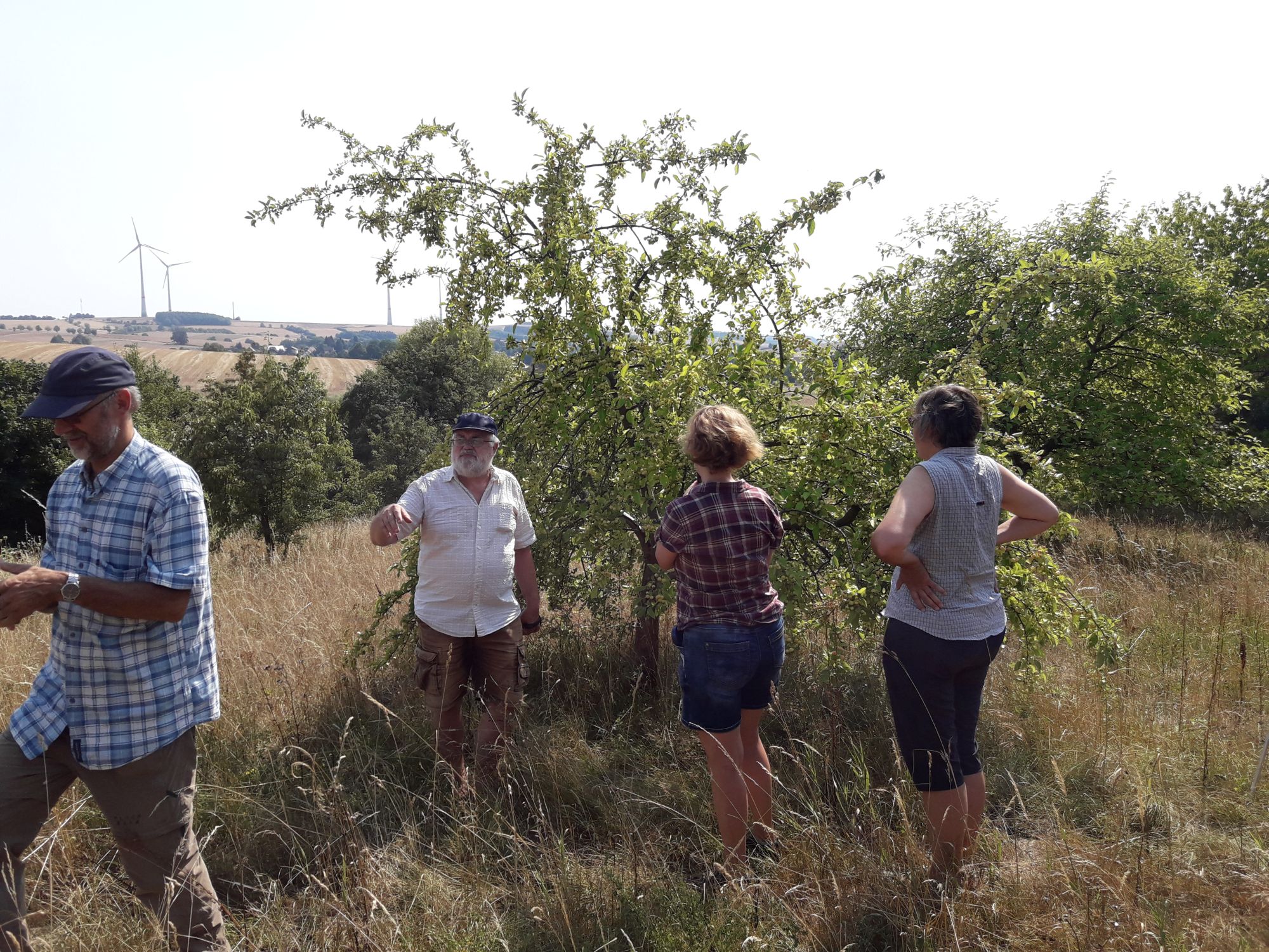 Menschen auf der Streuobstwiese beim Wochenende der offenen Streuobstwiese