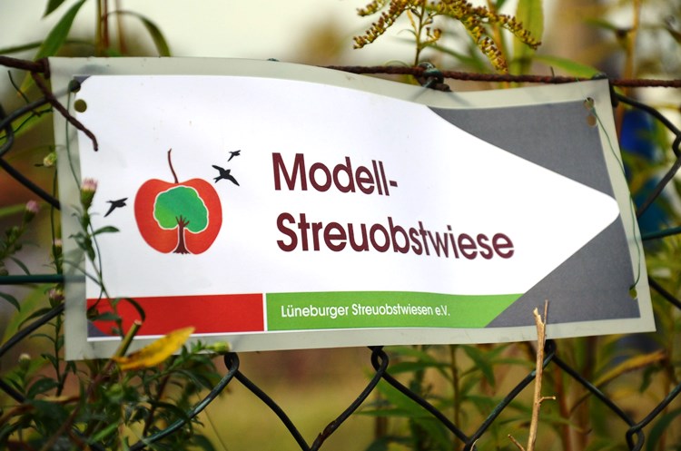 Schild mit der Aufschrift "Modell-Streuobstwiese"